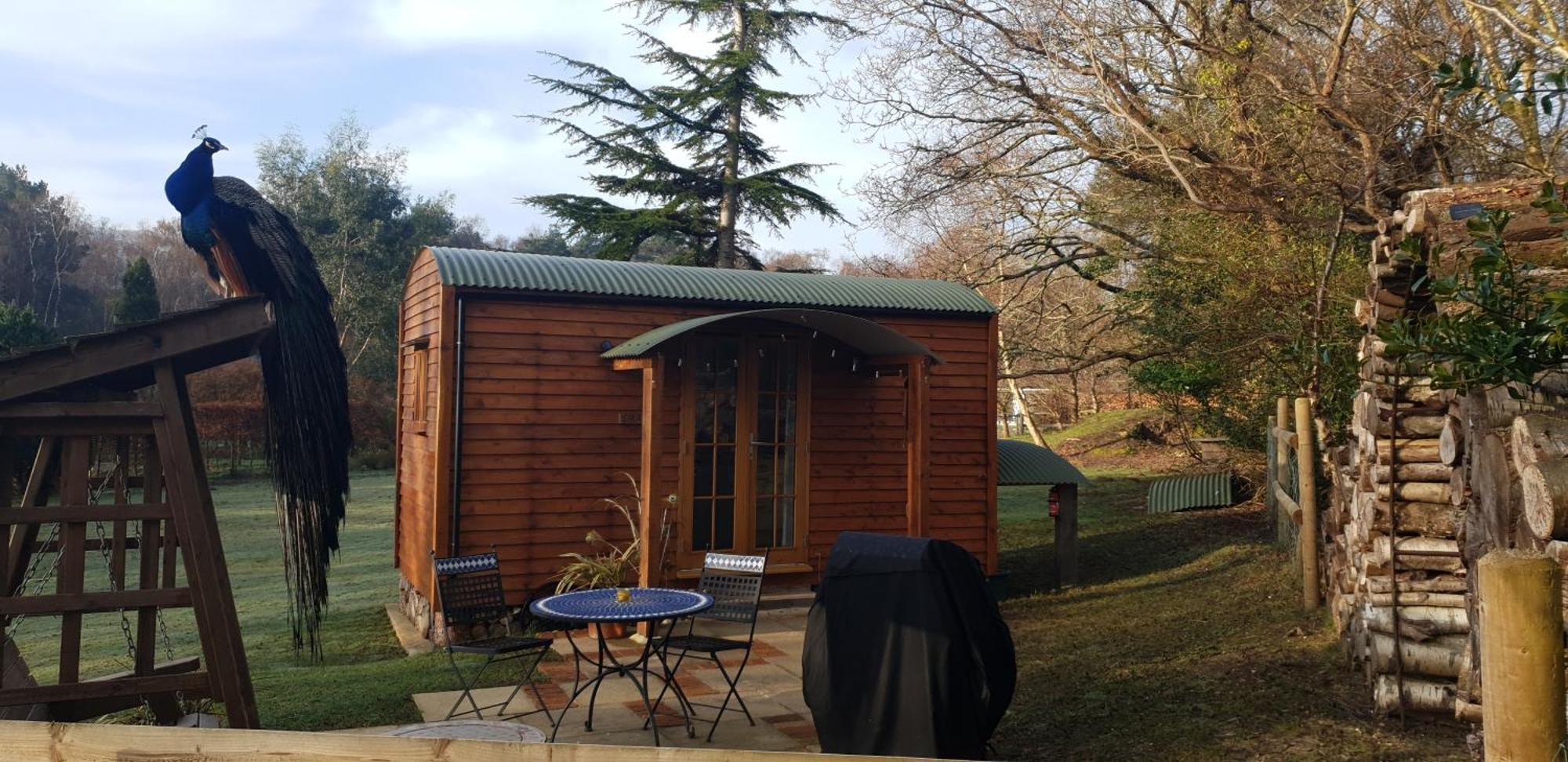 Sika Hut Βίλα Wareham Εξωτερικό φωτογραφία